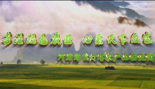 广东省河源绿然灯塔农产品物流园宣传视频