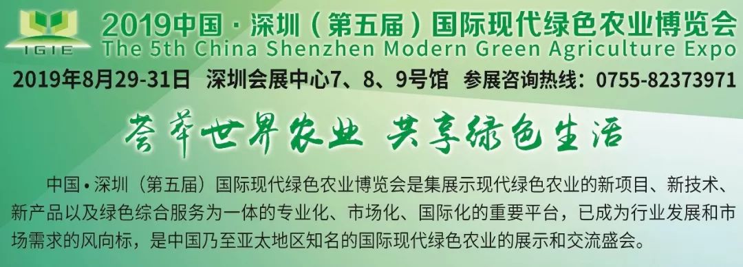 李克强：对标全面建成小康社会任务，扎实推进脱贫攻坚和乡村振兴