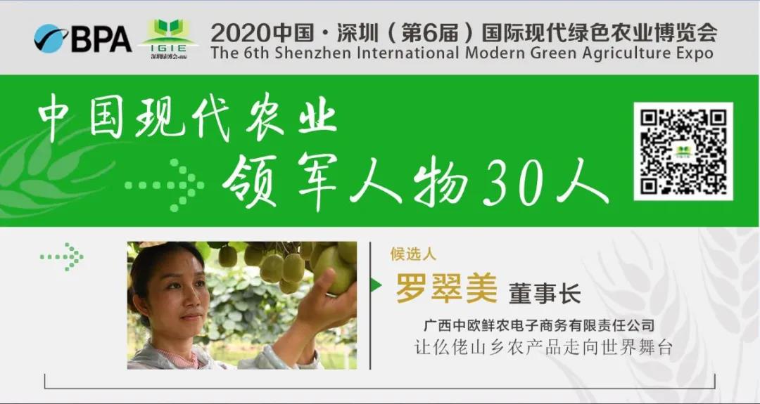 【现代农业领军人物30人】罗翠美——农家女娃勇闯商海带领乡亲电商致富