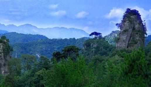 【展商风采】来四川广元品剑门关土鸡，尝高山露地好蔬菜巴适得很！