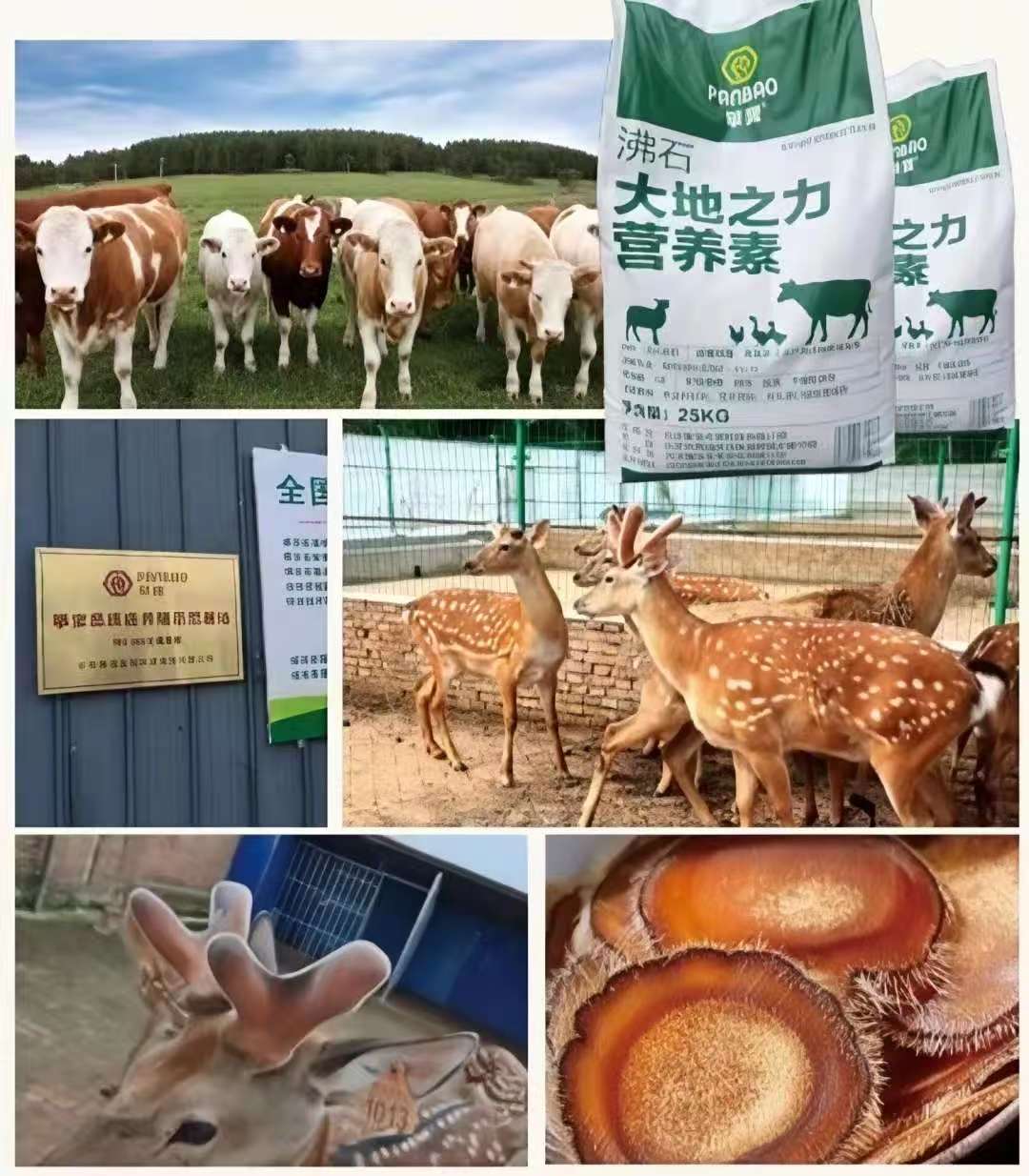 【每周优品】攀宝 沸石·大地之力营养素——新兴海陆健康养殖的科技基石