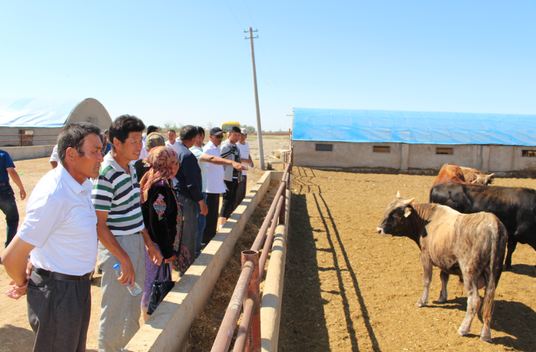 阿勒泰市：带领农牧民观摩现代农业 增致富渠道