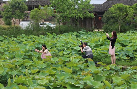 光泽县：农业与旅游“联姻” 发展新型乡村游