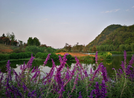 砚山：“旅游+扶贫”，好风景带来好“钱景”