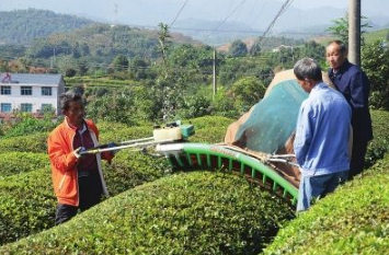 我国果菜茶生产机械化正加快推进